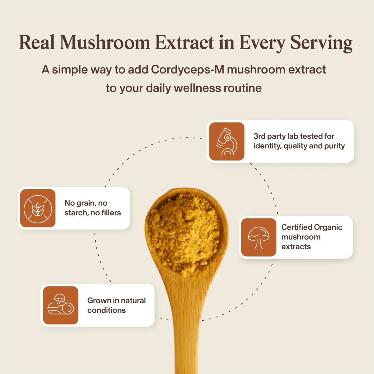 Real Mushrooms Cordyceps Mushroom Powder 150 Servings (5.29 oz / 150 g) | Organic Cordyceps Extract with 8% Beta-Glucans - view 7