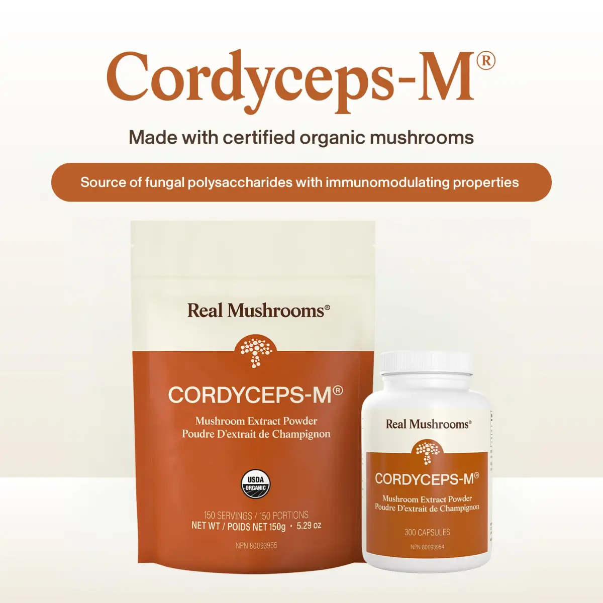 Real Mushrooms Cordyceps Mushroom Powder 150 Servings (5.29 oz / 150 g) | Organic Cordyceps Extract with 8% Beta-Glucans - view 2