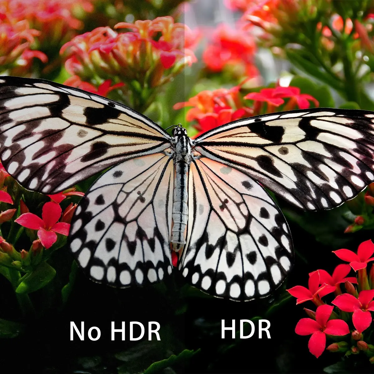 DiamondTiger 8K HDMI 2.1 Switch 4 in 1 Out | 8K@60Hz, 4K@120Hz, VRR, Dolby Vision, Aluminum Shell - view 9