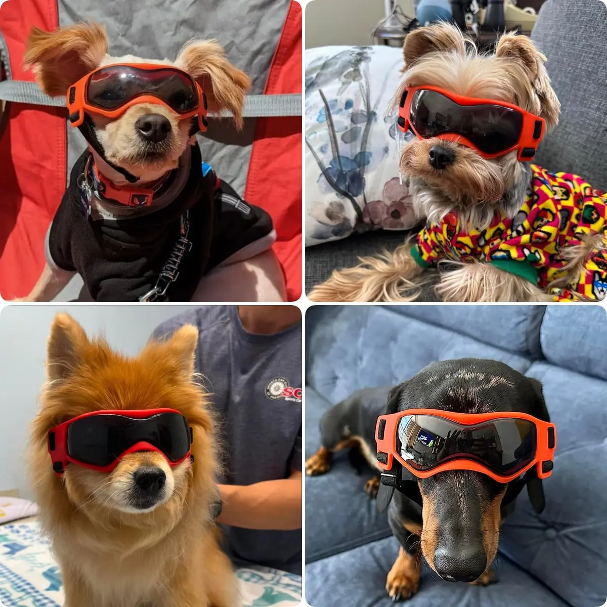 PETLESO Dog Goggles Small Breed, UV Protection, Adjustable Straps, Orange S - view 2