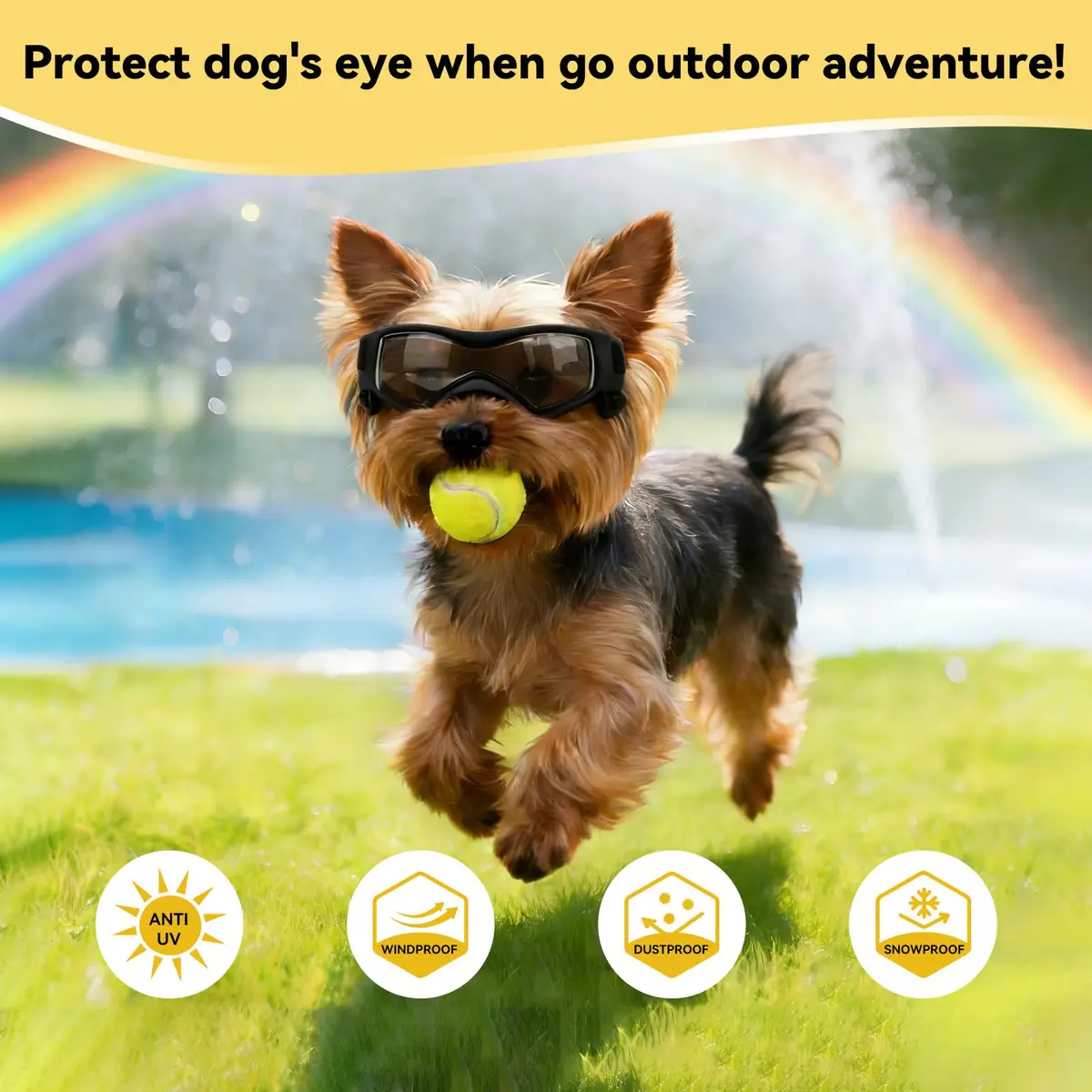 PETLESO Dog Goggles Small Breed UV Protection Adjustable Straps Black S | Outdoor Pet Eyewear for Riding & Hiking - view 5