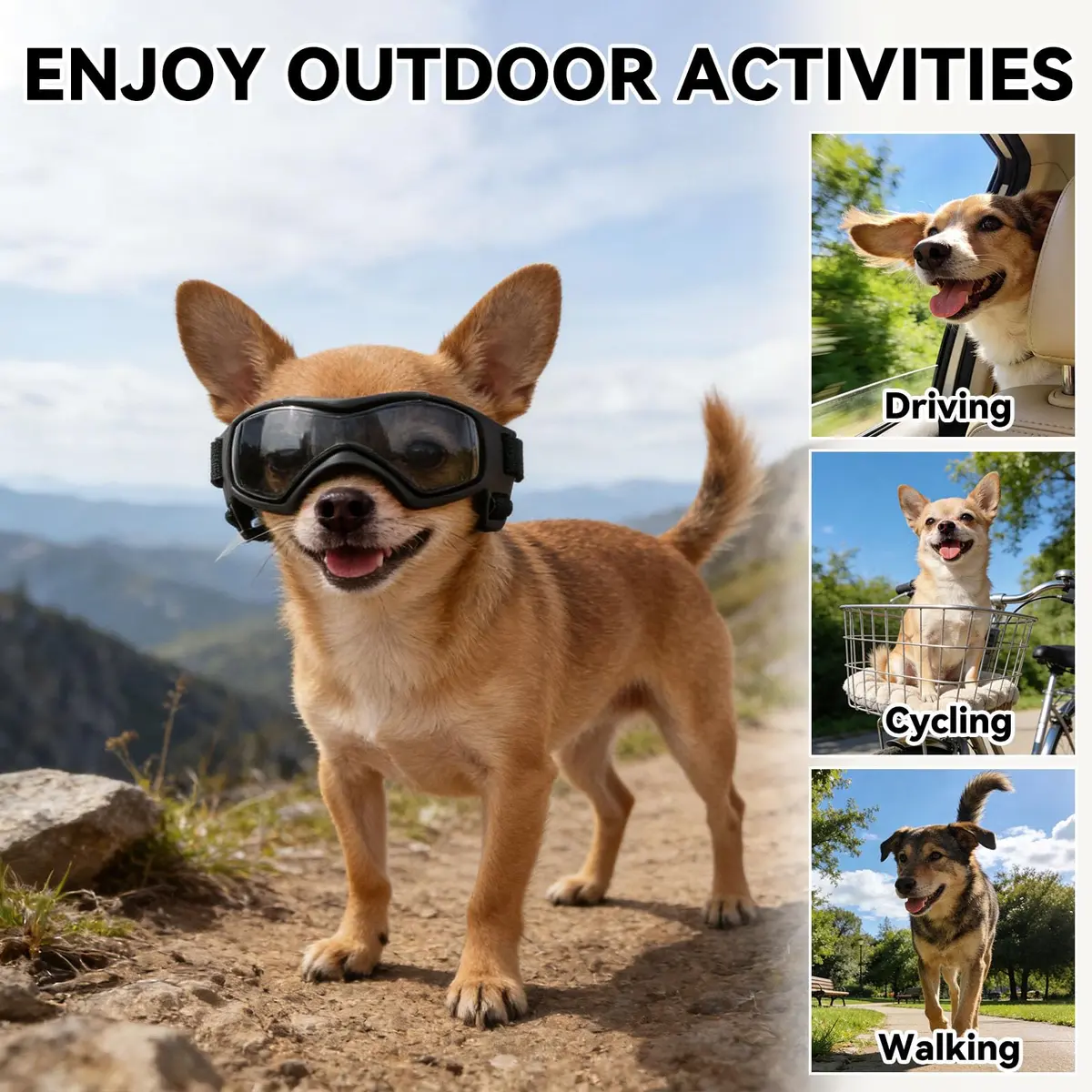 PETLESO Dog Goggles Small Breed UV Protection Adjustable Straps Black S | Outdoor Pet Eyewear for Riding & Hiking - view 6