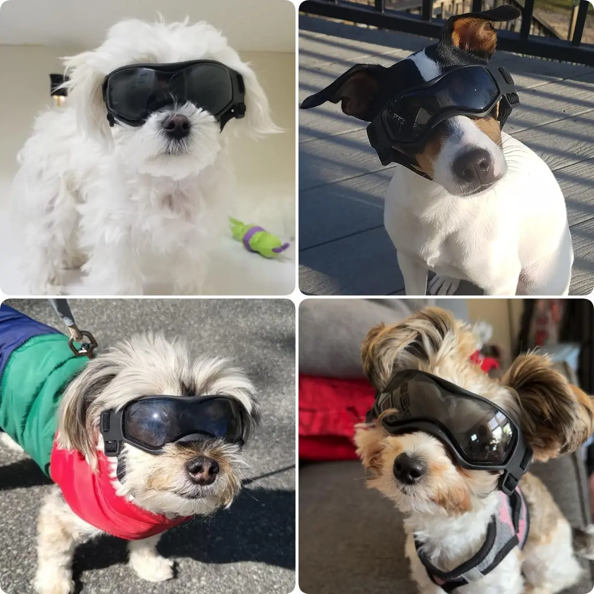 PETLESO Dog Goggles Small Breed UV Protection Adjustable Straps Black S | Outdoor Pet Eyewear for Riding & Hiking - view 2