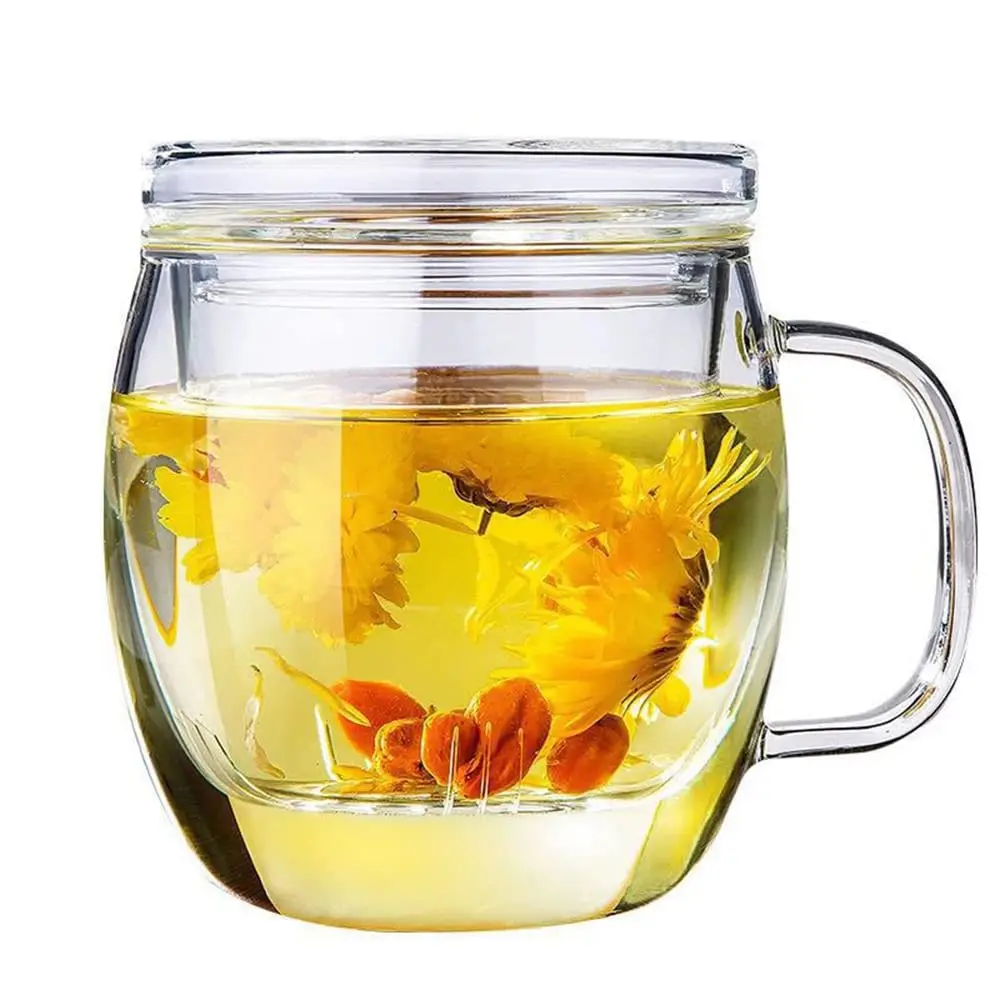 Bunhut Glass Tea Cup with Infuser and Lid | 17 oz Clear Borosilicate Mug for Hot & Cold Beverages - main product image