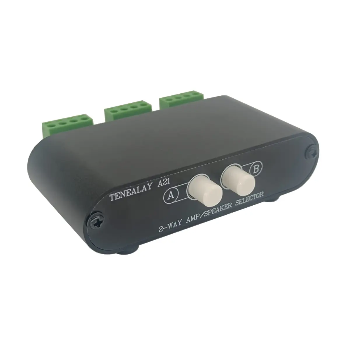 TENEALAY 2-Way Stereo Amplifier Speaker Selector Box A21 | Switch Between 2 Amps or 2 Speaker Pairs - main product image