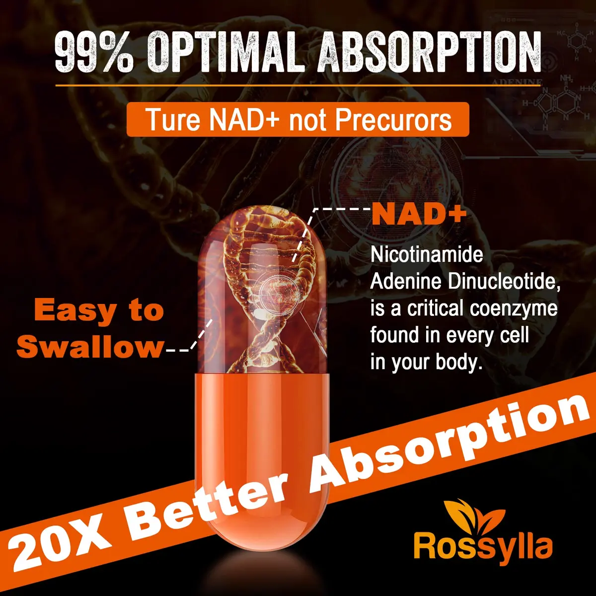 Rhameph Liposomal NAD+ 1300mg Supplement | Highest Absorption for Aging & Energy | 60 Capsules - view 4