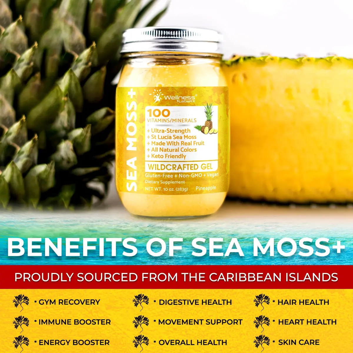 WELLNESS LABSRX Pineapple Sea Moss Gel Superfood 296ml (10 oz) | Nutrient-Rich Caribbean Harvest - view 6