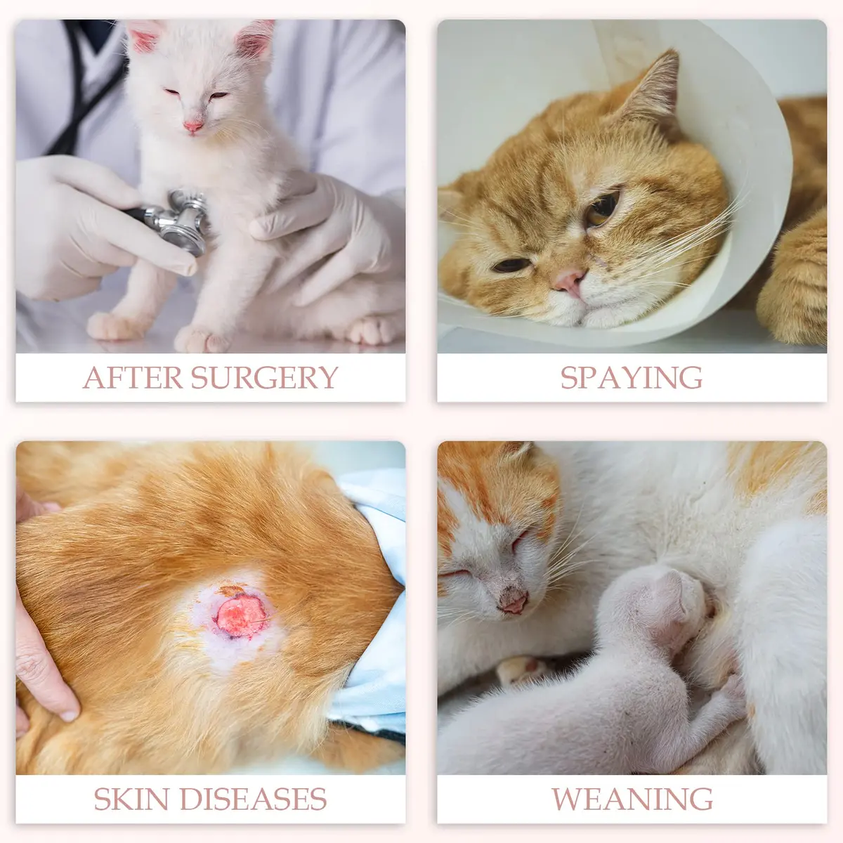 ANWA Cat Recovery Suit Female, Breathable Cat Surgery Recovery Suits | Post-Operative Support for Cats - view 6