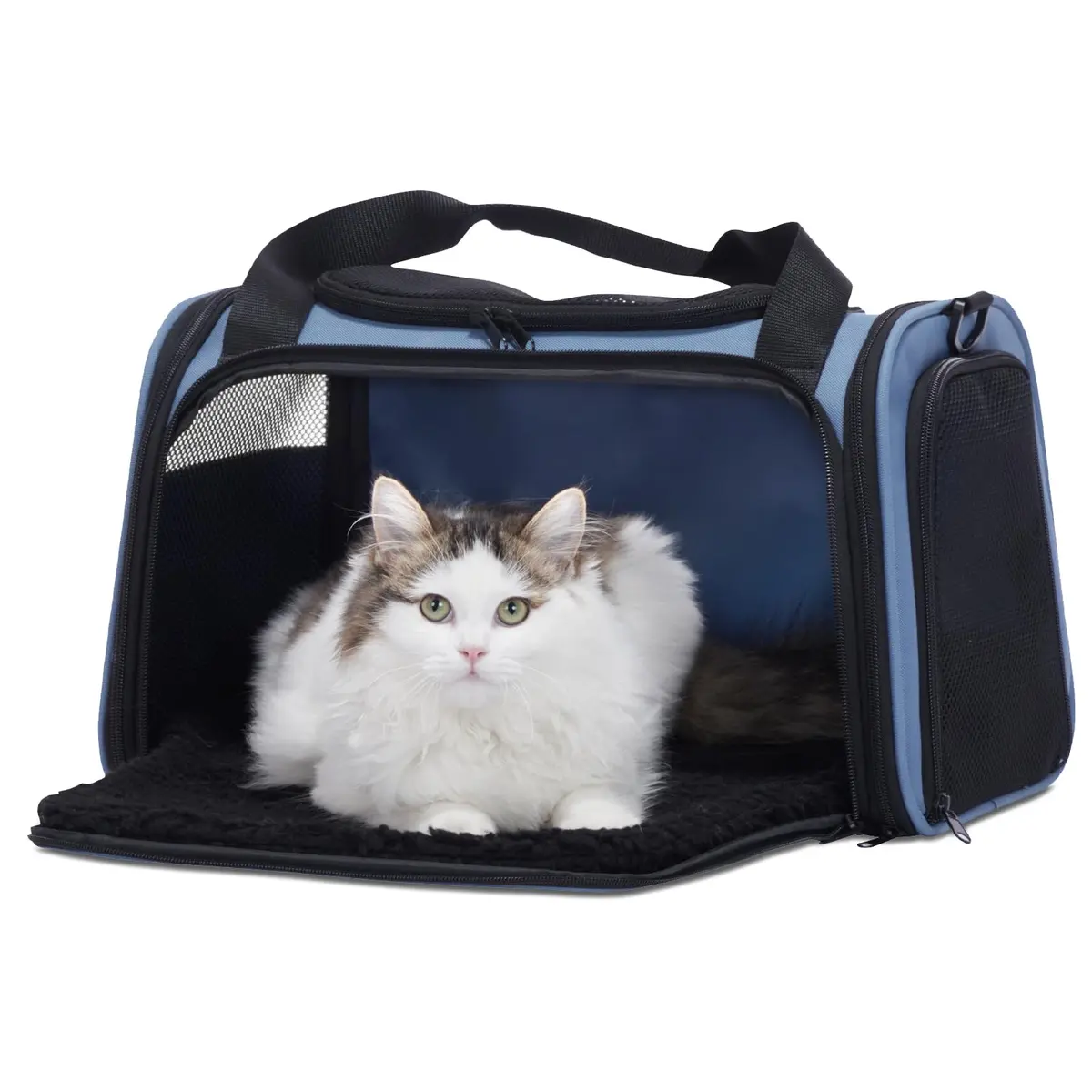 Petsfit Pet Carrier, Blue, Small & Medium Cats & Puppies | Airline Approved & Collapsible - view 9