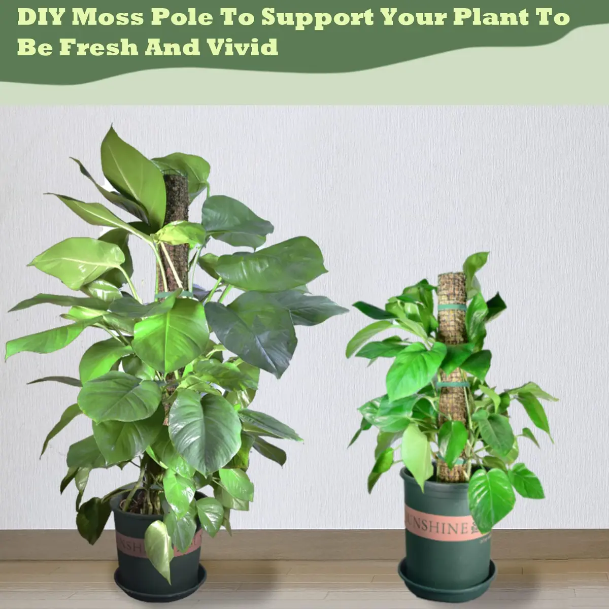 chicarry DIY Moss Pole Kit 4.04m (13.2ft) Metal Mesh with Pliers & Ties | Supports Monstera, Pothos, Climbing Plants - view 7