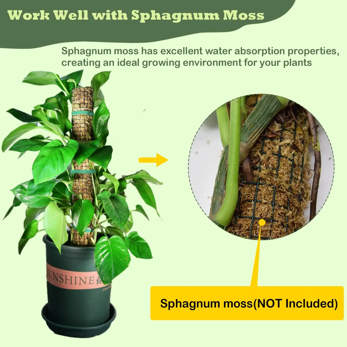 chicarry DIY Moss Pole Kit for Climbing Plants, 203 cm (6.6ft) Steel Wire Mesh with Zip Ties | Make Your Own Plant Support - view 4