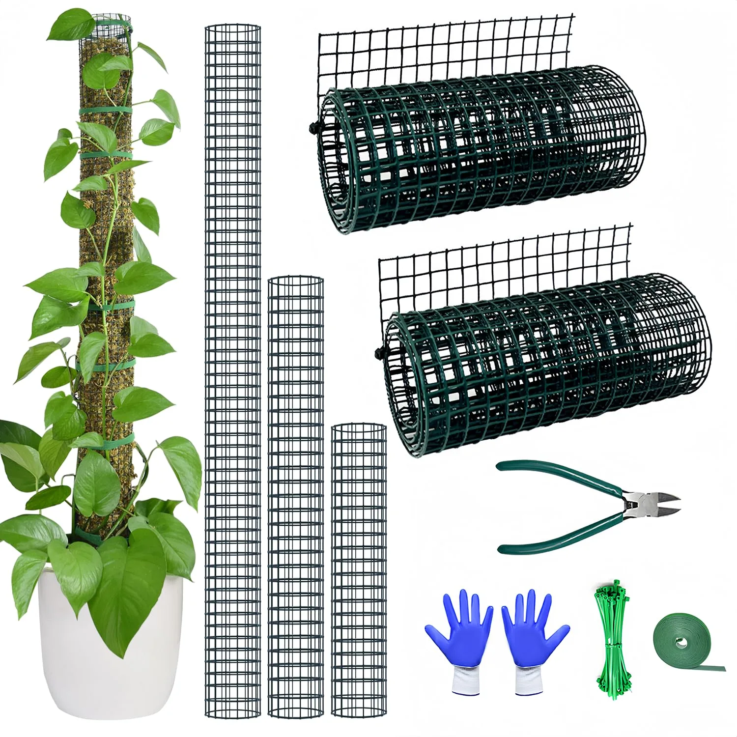 Plant Support Structures