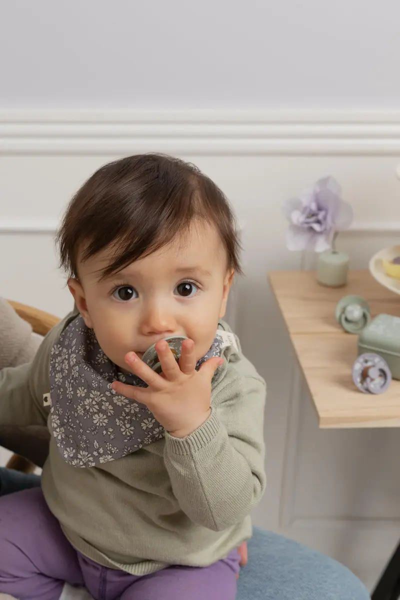 Bibs Pacifier Box, Sterilizer Case, Travel-Friendly, Eloise Ivory | Hygienic & Stylish Baby Accessory - view 6