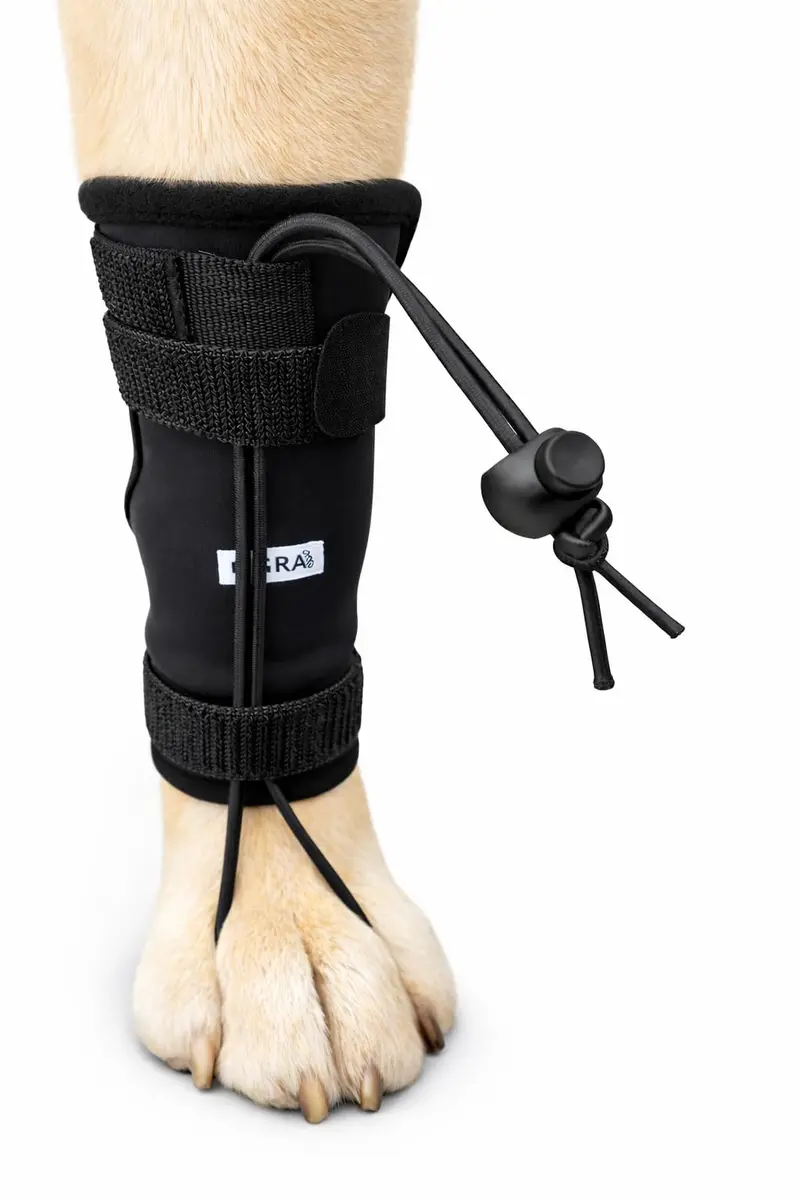 Labra Dog Canine Knuckling Corrector Toe Dragging Brace Wrap for Front or Rear Back Leg Paw | Support & Comfort for Mobility (100 words) - main product image