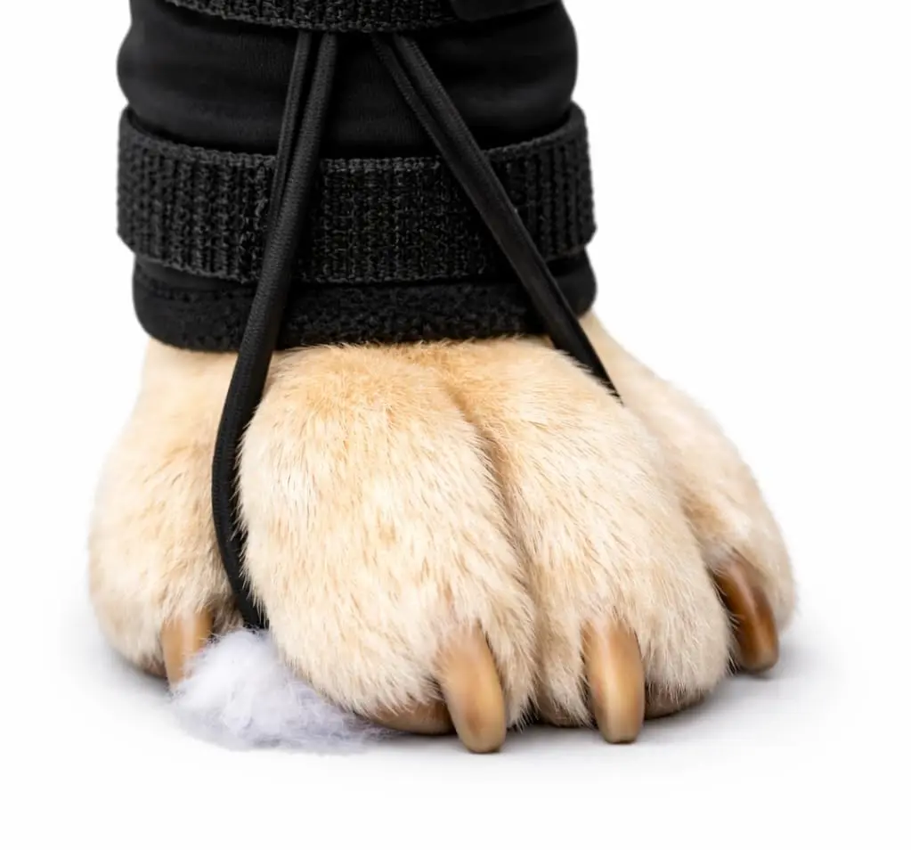 Labra Dog Canine Knuckling Corrector Toe Dragging Brace Wrap for Front or Rear Back Leg Paw | Support & Comfort for Mobility (100 words) - view 2