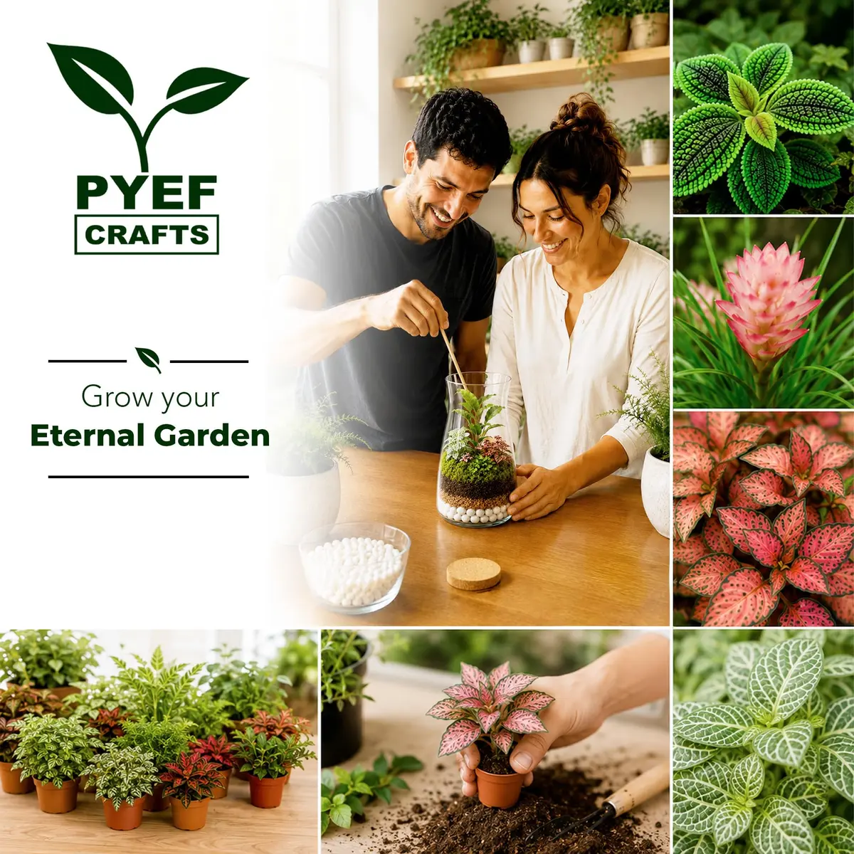 PYEF CRAFTS DIY Terrarium Kit with Succulents & Indoor Plants Supplies | 1.9L (64 fl oz) - view 7