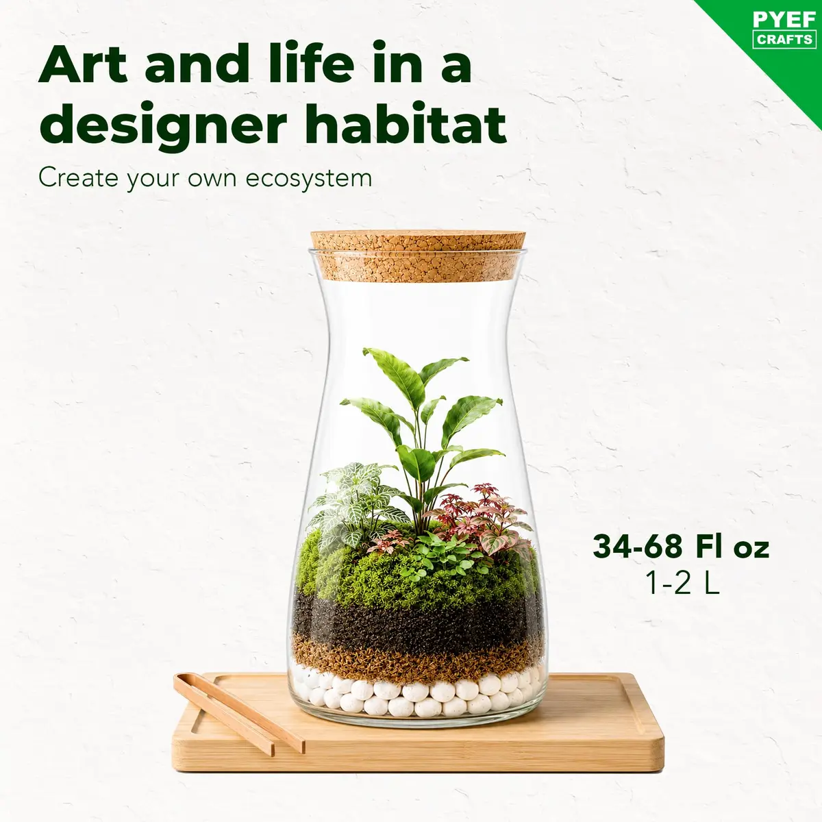 PYEF CRAFTS DIY Terrarium Kit with Succulents & Indoor Plants Supplies | 1.9L (64 fl oz) - view 2
