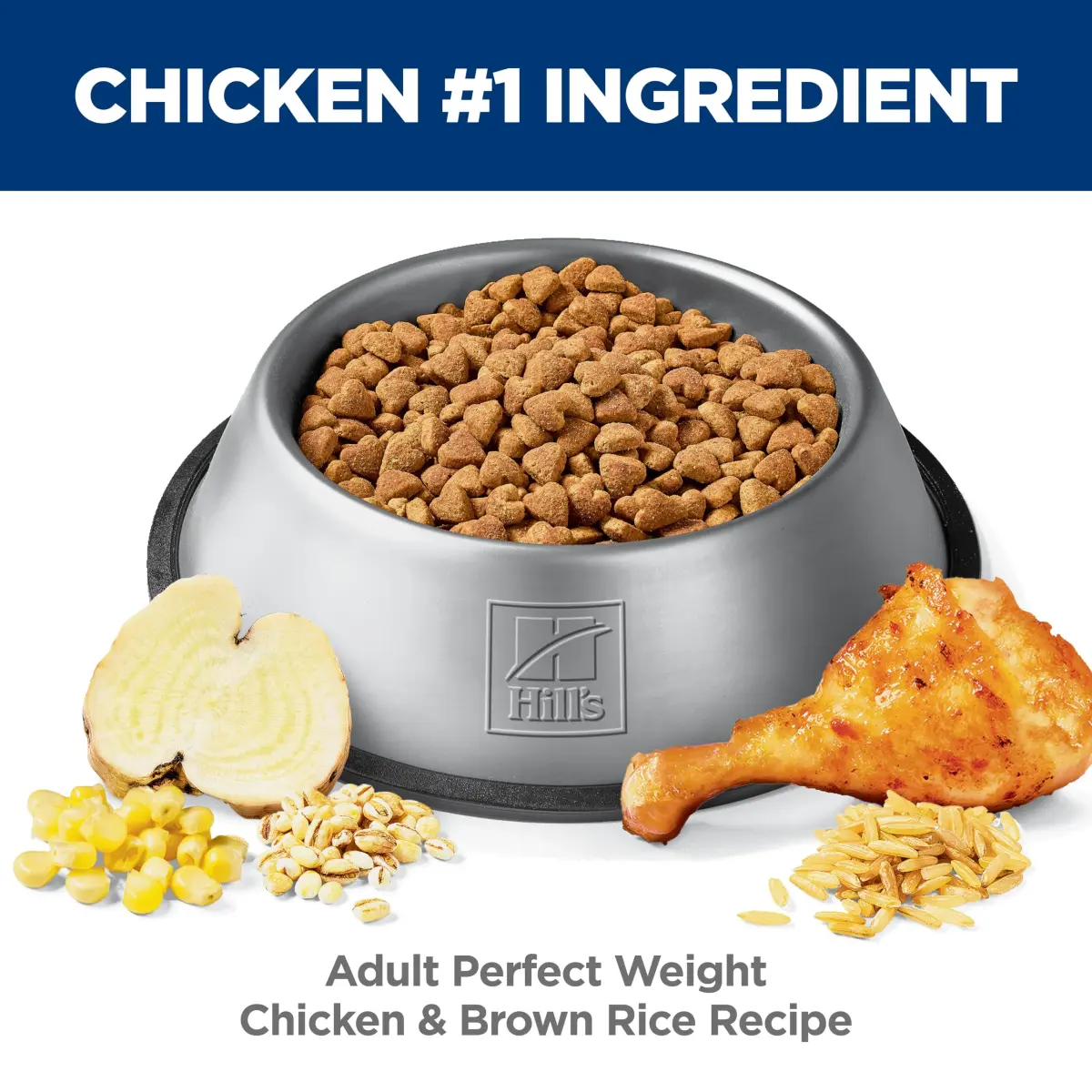 Hill's Science Diet Adult Perfect Weight Chicken & Brown Rice Recipe Dry Dog Food 5.44 kg (12 lb) | Clinically Proven Weight Management - view 4