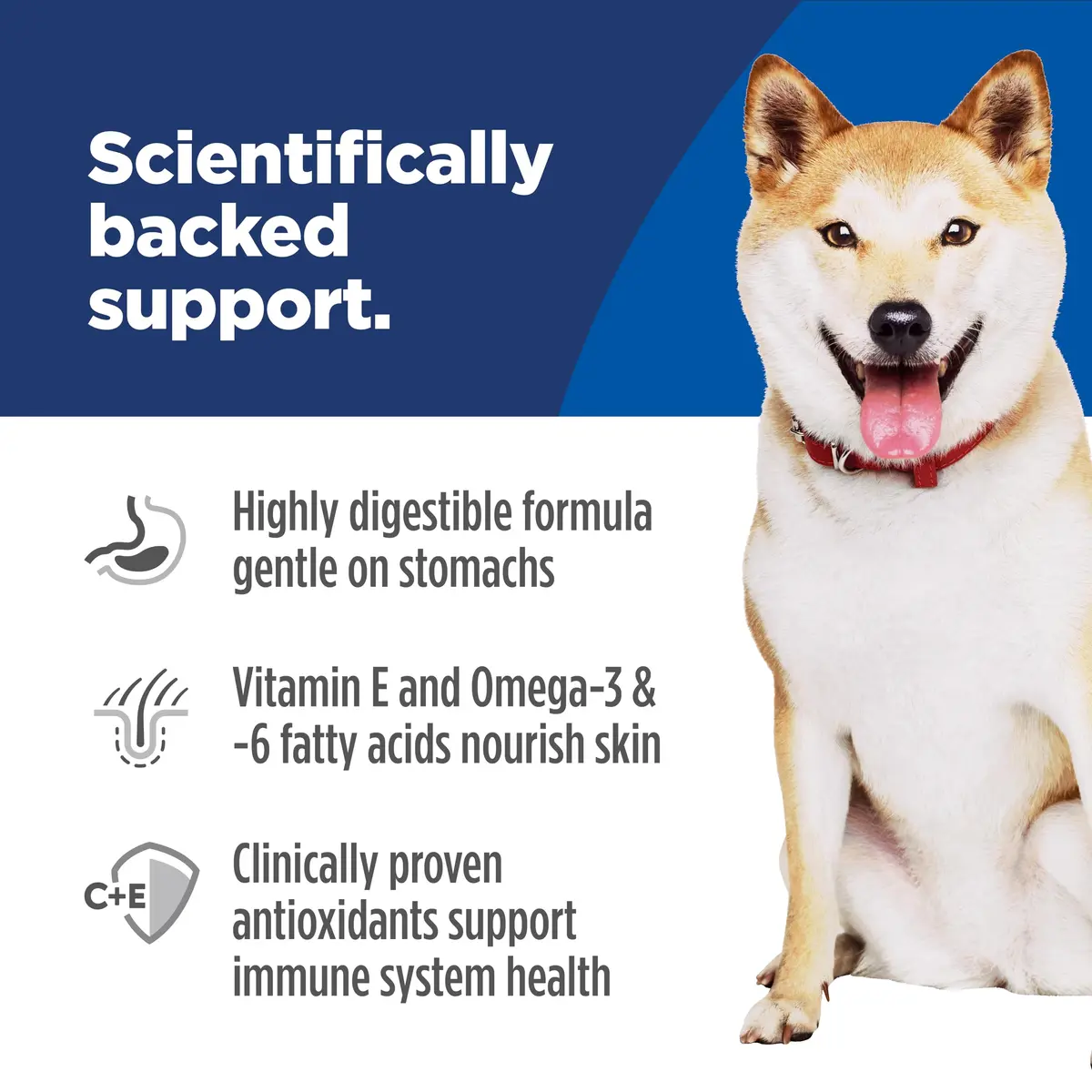 Hill's Science Diet Sensitive Stomach & Skin Dry Dog Food, 1.59 kg (3.5 lb) Pollock Meal & Insect Recipe | Highly Digestible Formula for Adult Dogs - view 4