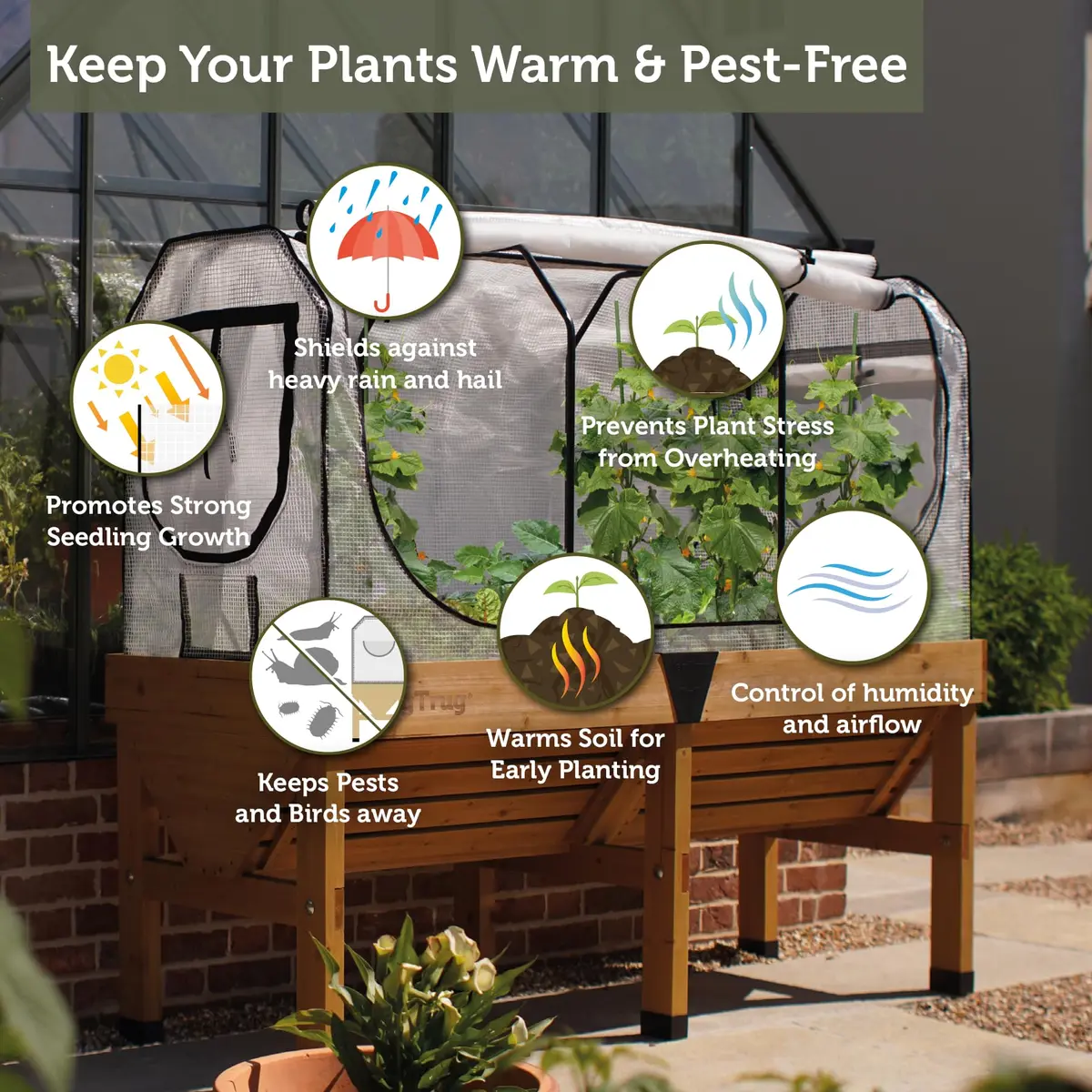 VegTrug Greenhouse Frame and Multi-Cover Set for Wall Hugger Medium 1.8m | Durable Micro Mesh & Steel Frame for Extended Growing Season - view 4