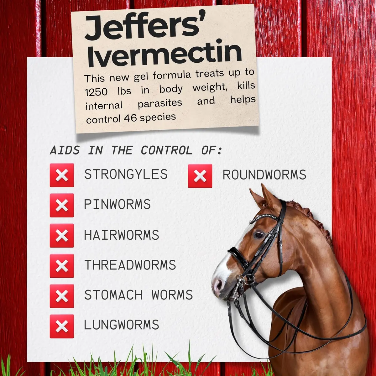Jeffers Ivermectin Gel Dewormer for Horses 12 Pack | Apple Flavored Parasite Control - view 5