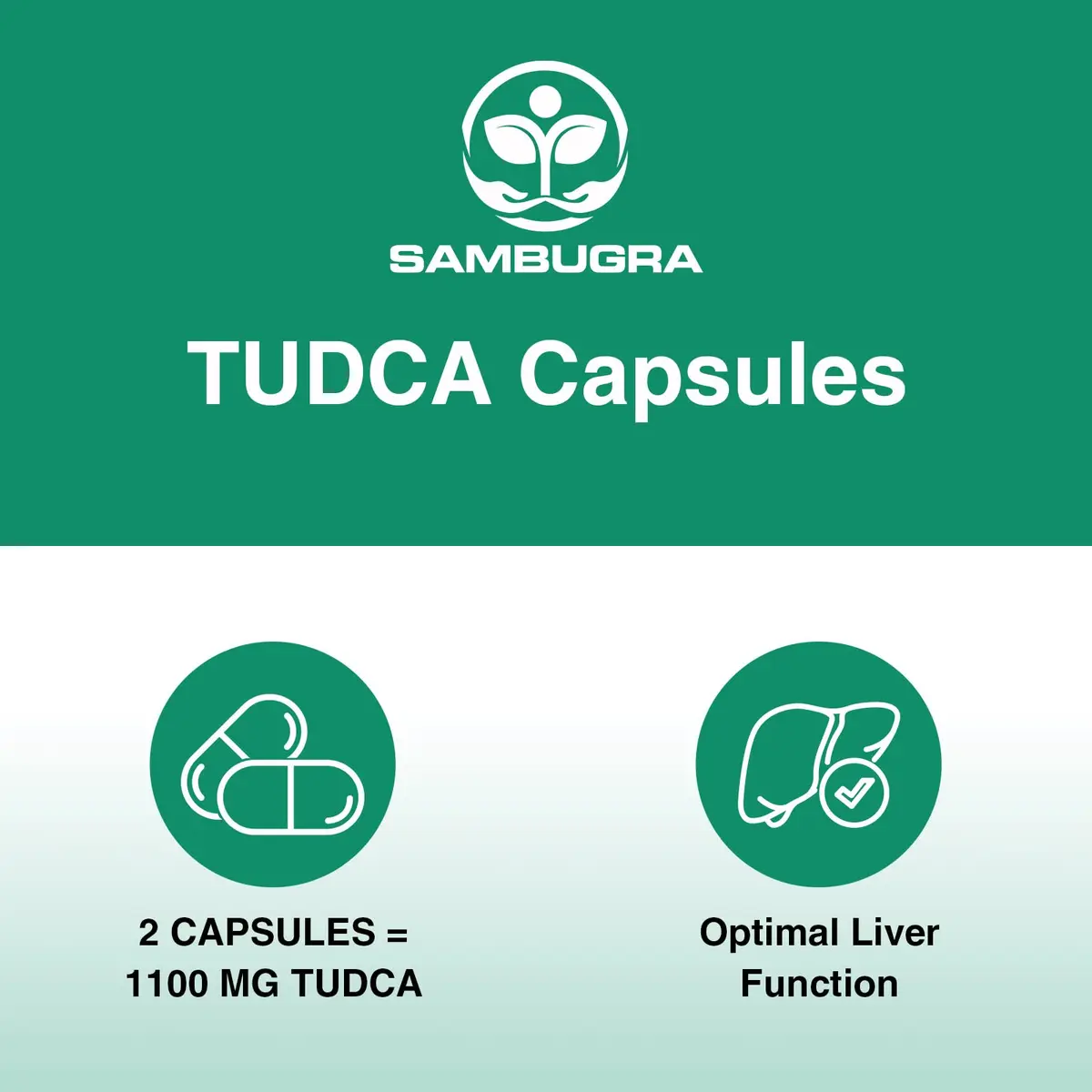 Sambugra TUDCA Liver Supplements 1100mg | Supports Liver Detox & Repair, 120 Capsules - view 4
