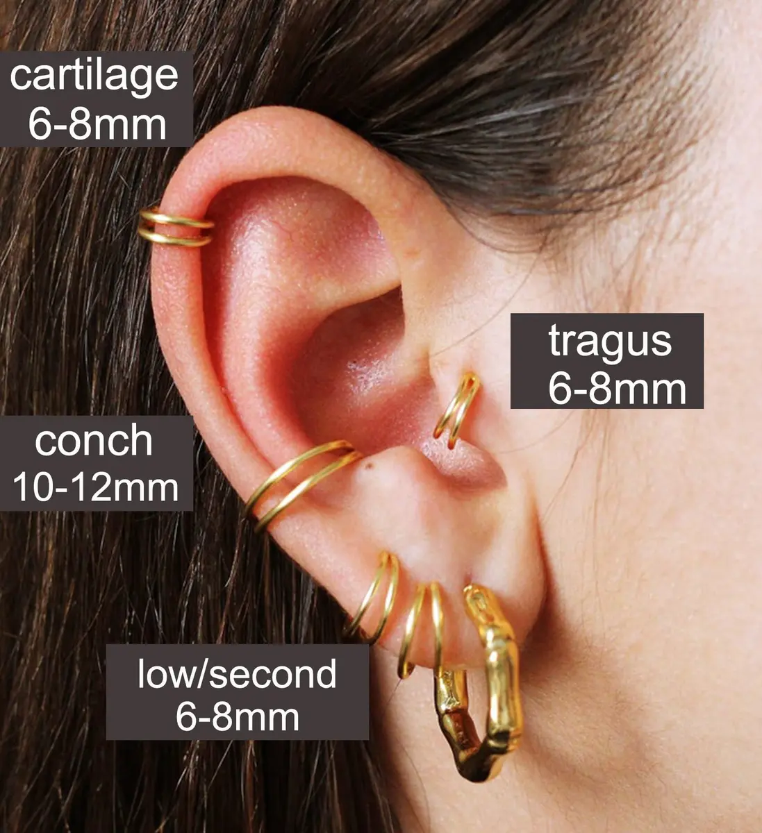 MODRSA Double Hoop Nose Ring - Gold 18g, 8mm Cartilage & Helix Hoops - view 4