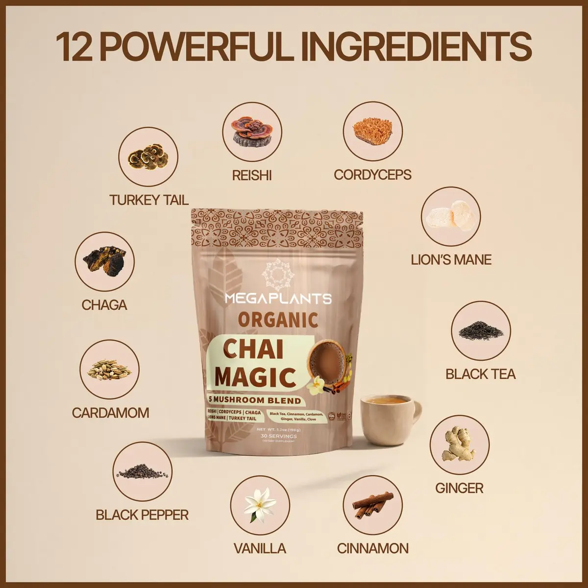 Megaplants Mushroom Chai Tea | Organic Masala Chai Latte Coffee Alternative for Focus & Wellness - view 5