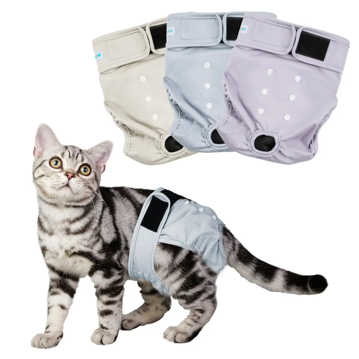 Paw Legend Reusable Cat Diapers for Female Cats Spraying, Washable Kitten Diapers for Incontinence, 3 Pack Medium | Correct Fit & Adjustable Comfort - main product image