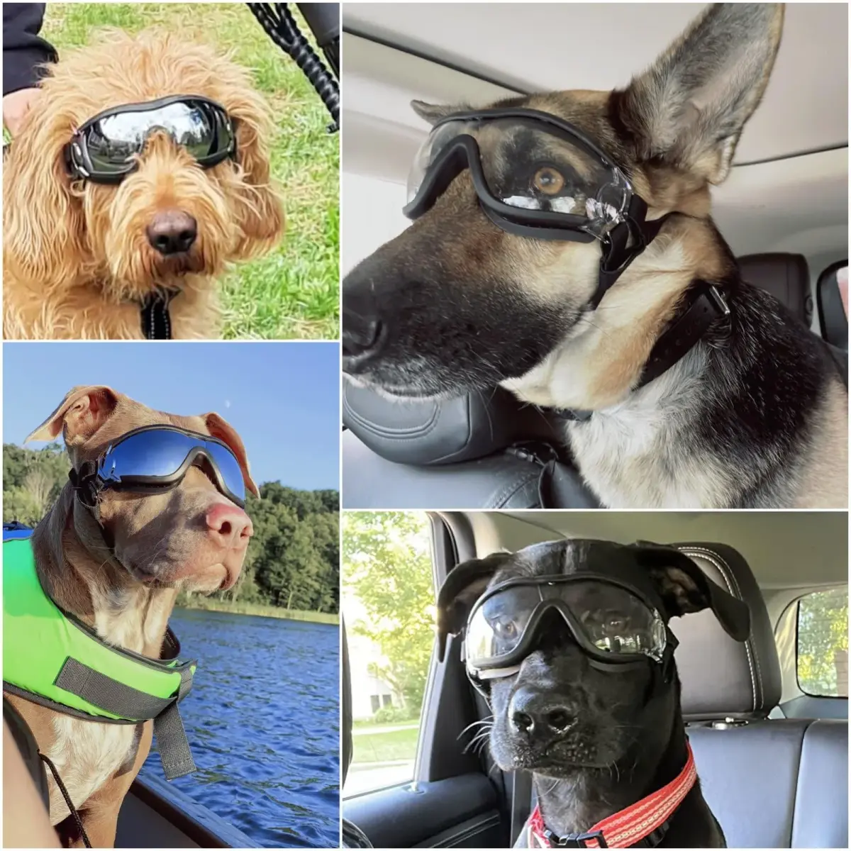 NAMSAN Clear Dog Goggles for Medium to Large Dogs | UV Protection, Windproof, Adjustable Elastic Straps (2-Pair Pack) - view 2