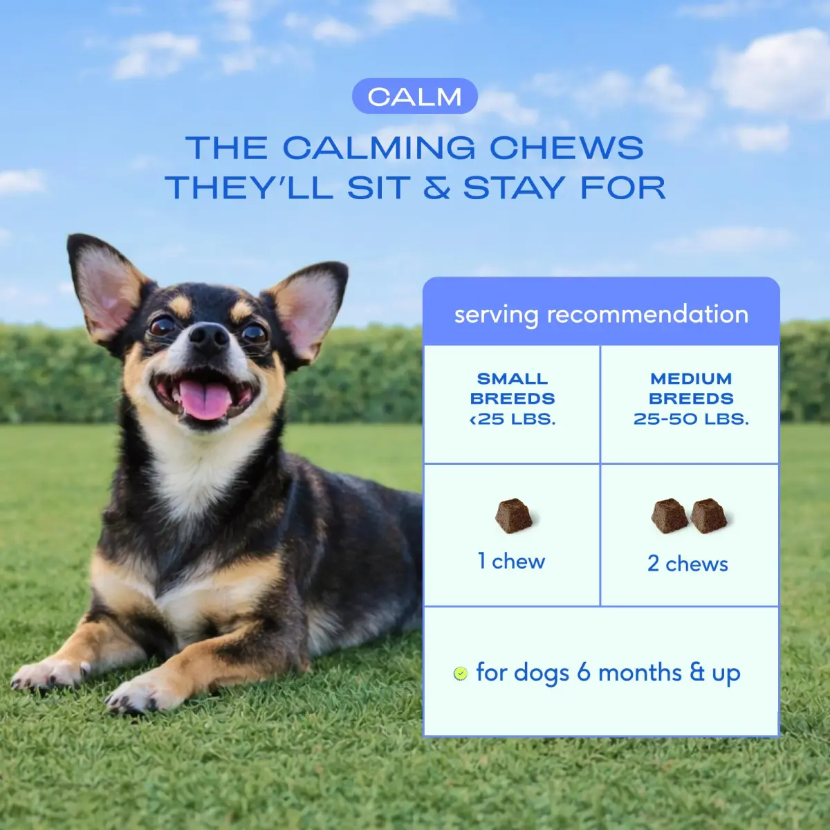 Native Pet Calming Chews for Dogs - Hemp Seed, Melatonin, L-Theanine & Casein - Air-Dried 30 Chews | Supports Emotional Balance & Reduces Hyperactivity - view 7