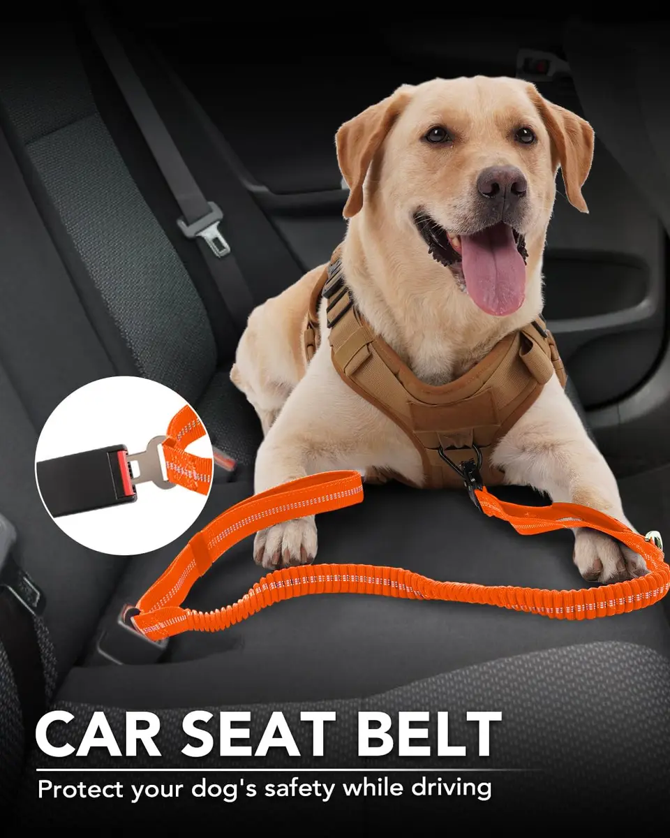 Joytale Tactical Dog Leash 6 ft | Shock Absorbing No Pull, Orange, Heavy Duty, Reflective, Dual Handles, Car Seatbelt Clip - view 5