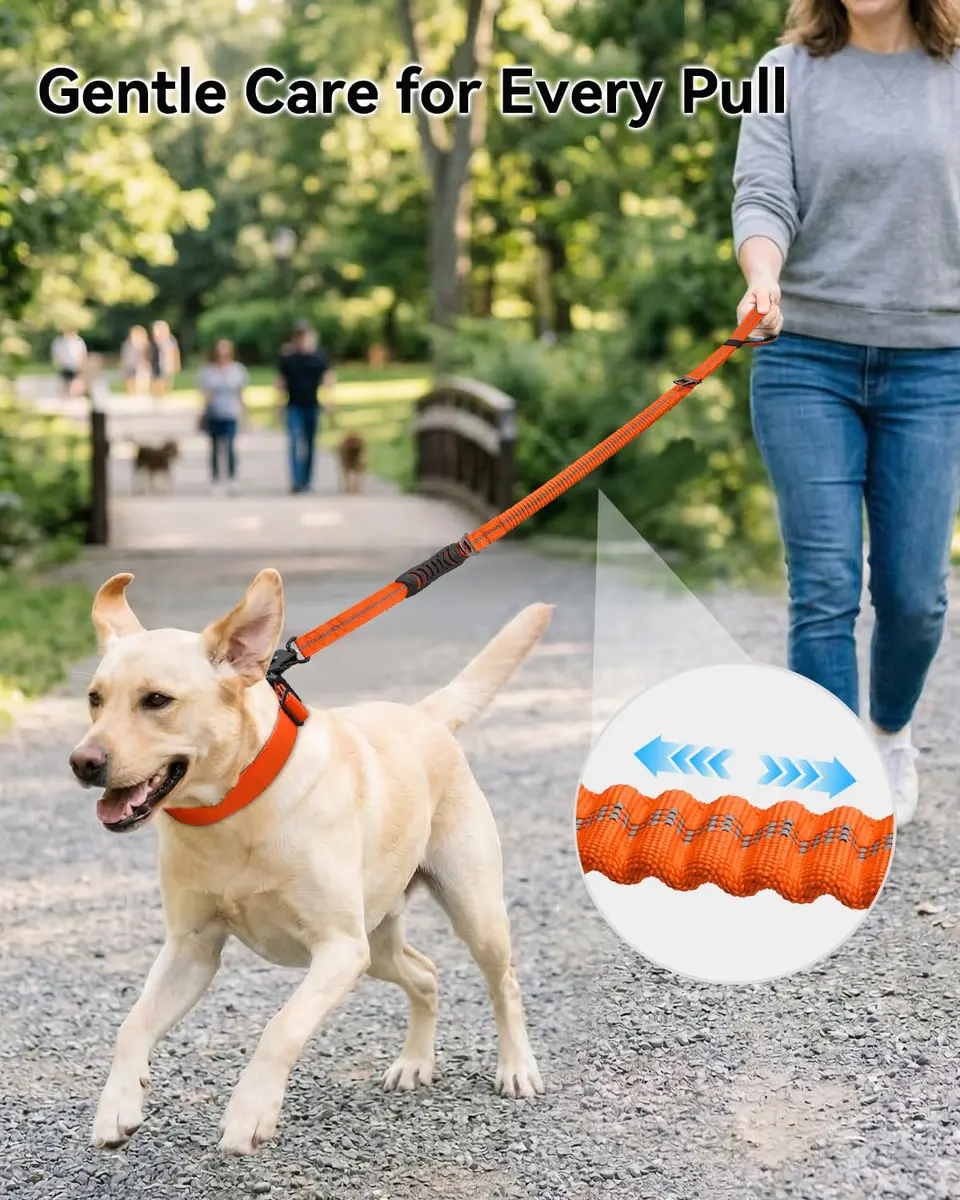Joytale Tactical Dog Leash 6 ft | Shock Absorbing No Pull, Orange, Heavy Duty, Reflective, Dual Handles, Car Seatbelt Clip - view 3