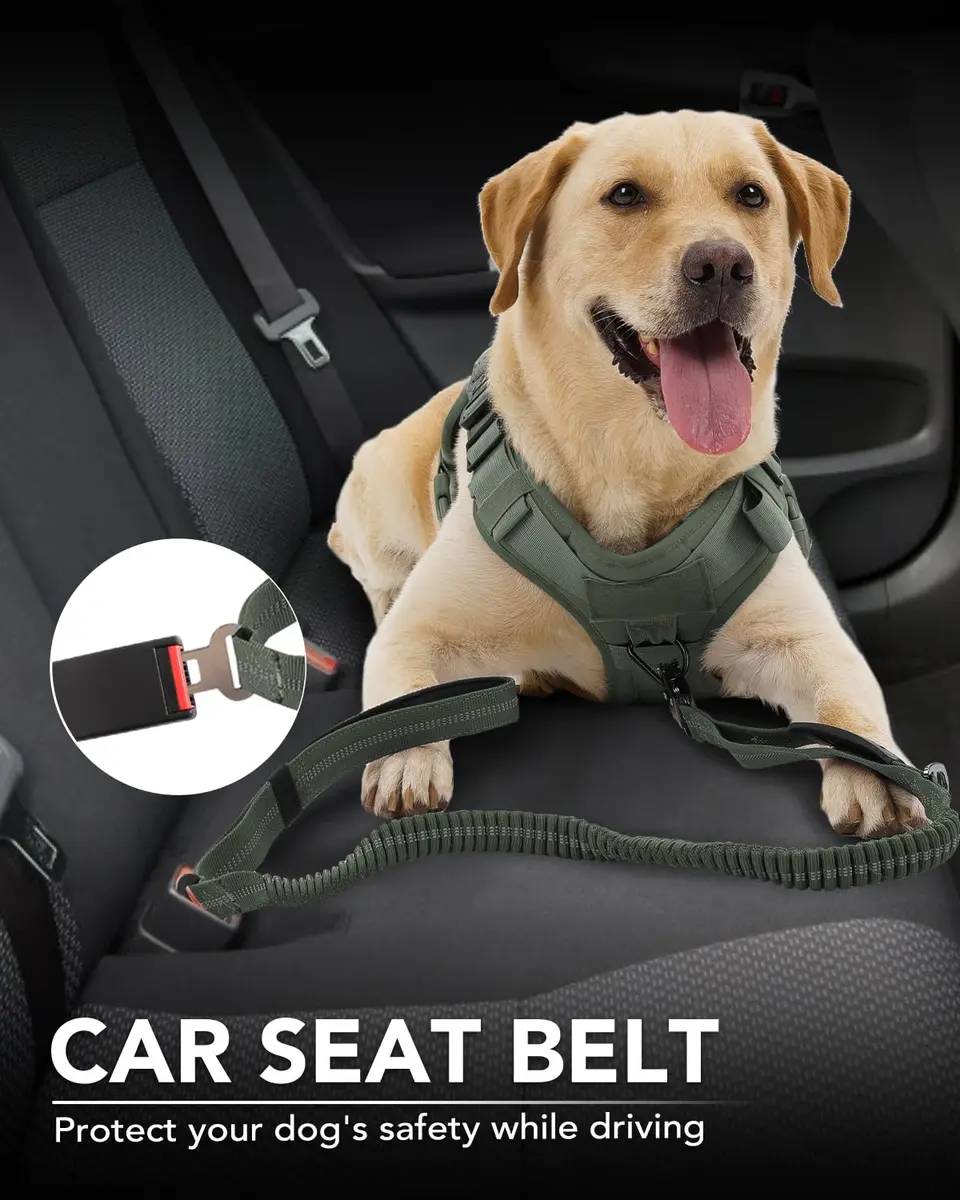 Joytale Tactical Bungee Dog Leash, Shock Absorbing No Pull, Army Green | Heavy Duty Control for Large Dogs - view 5
