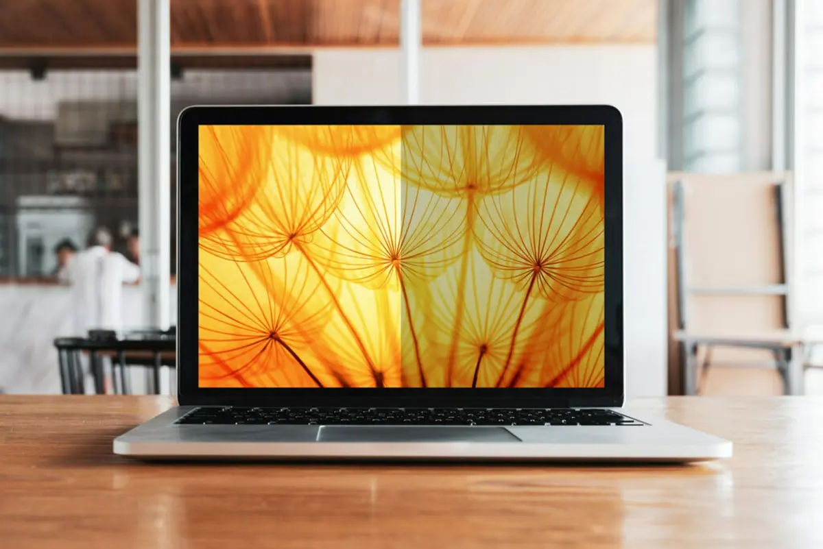 3M Bright Screen Privacy Filter for 13.3in Laptop, 16:9, BP133W9B | Advanced Nanolouver Technology - view 6