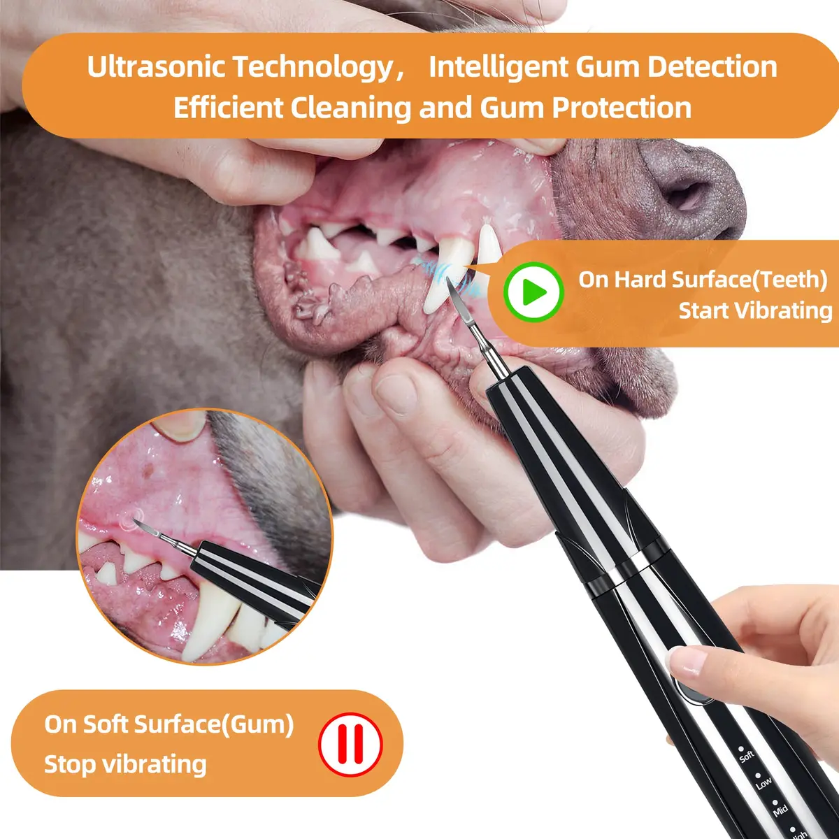 PAWSION Ultrasonic Pet Tooth Cleaner Kit 5 Modes | Safe Electric Tartar & Stain Remover for Dogs & Cats - view 2