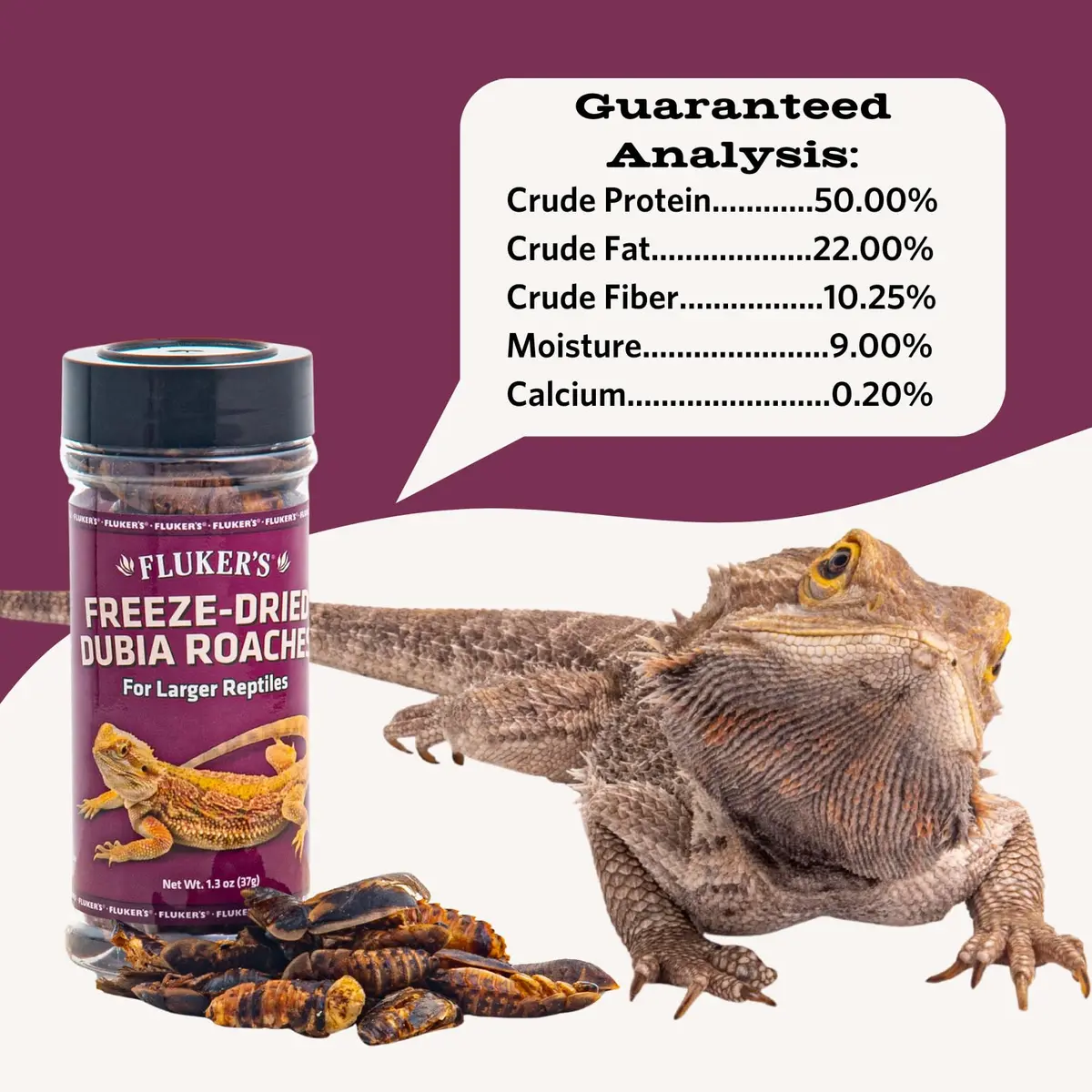 Fluker's Freeze Dried Dubia Roaches 48.19 g (1.7 oz) | High Protein Reptile Food - view 2