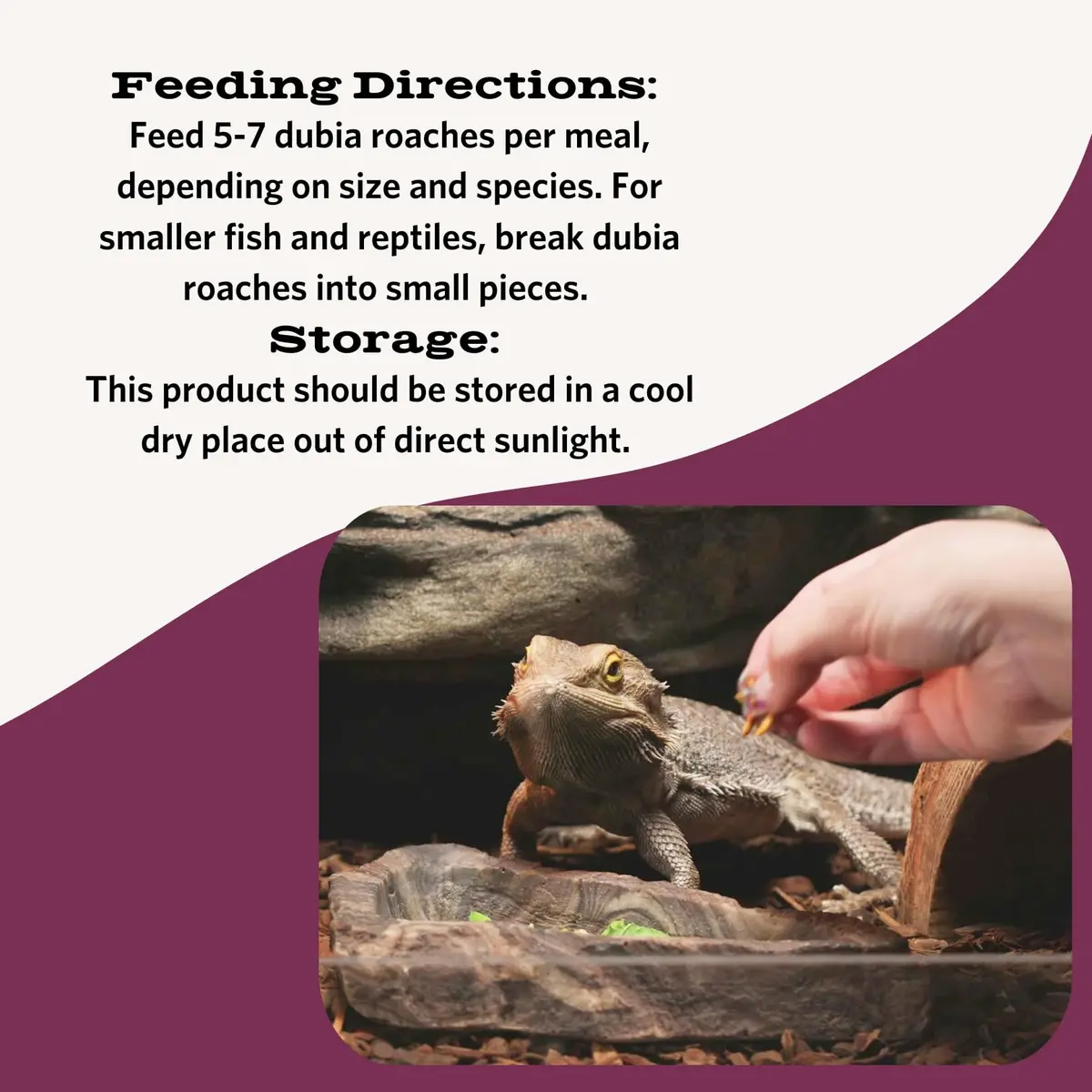 Fluker's Freeze Dried Dubia Roaches 48.19 g (1.7 oz) | High Protein Reptile Food - view 3