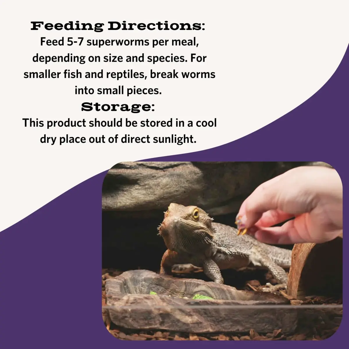 Fluker's Freeze Dried Superworms for Reptiles, Birds, Fish, Hedgehogs - 48g (1.7 oz) - view 2