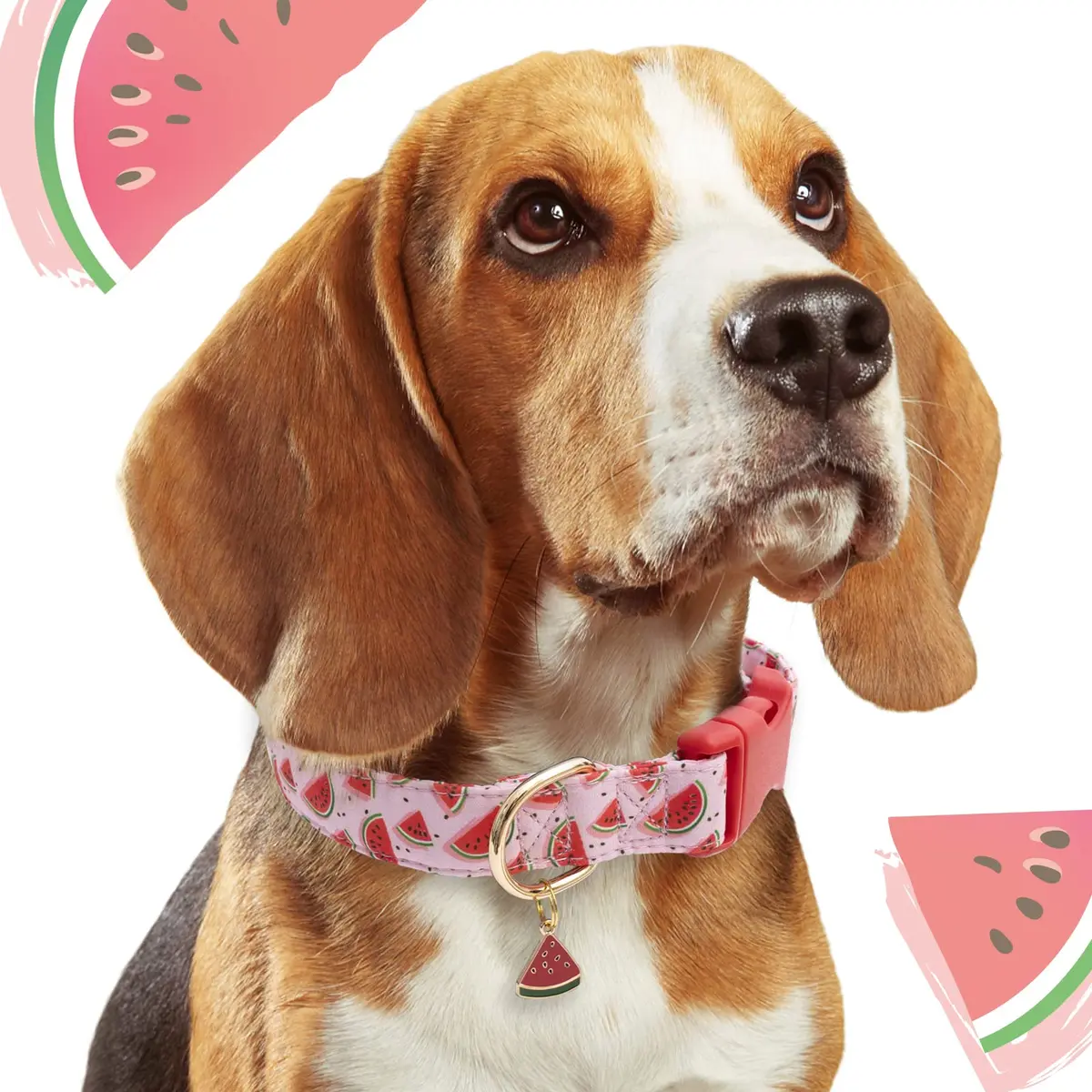 Faygarsle Pink Animal Collar for Dogs | Watermelon Design, Summer Pet Accessory, Adjustable & Durable (70-120 chars) - view 6