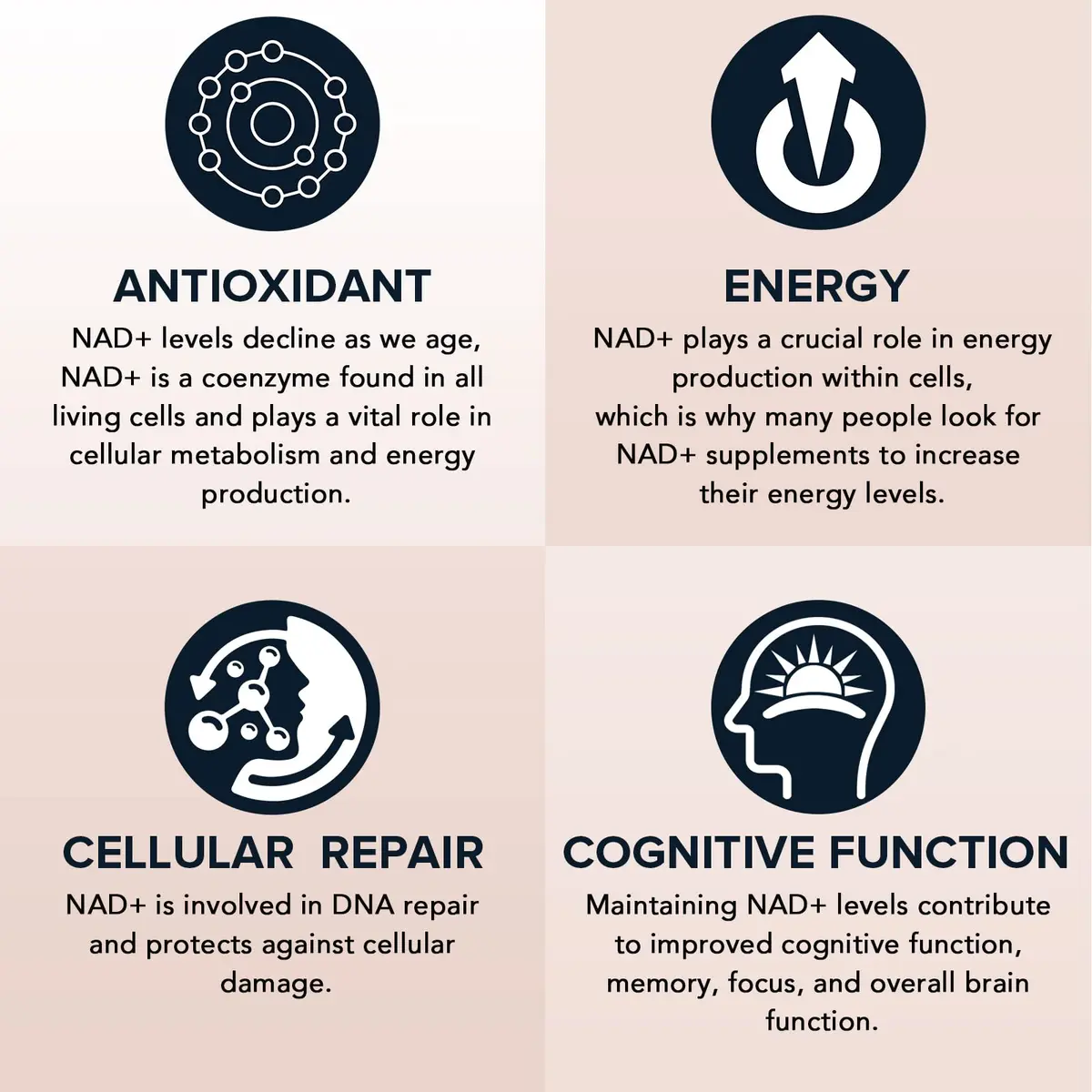 Fabemax 1600 mg Liposomal NAD Supplement | Superior Absorption for Aging & Energy - view 5