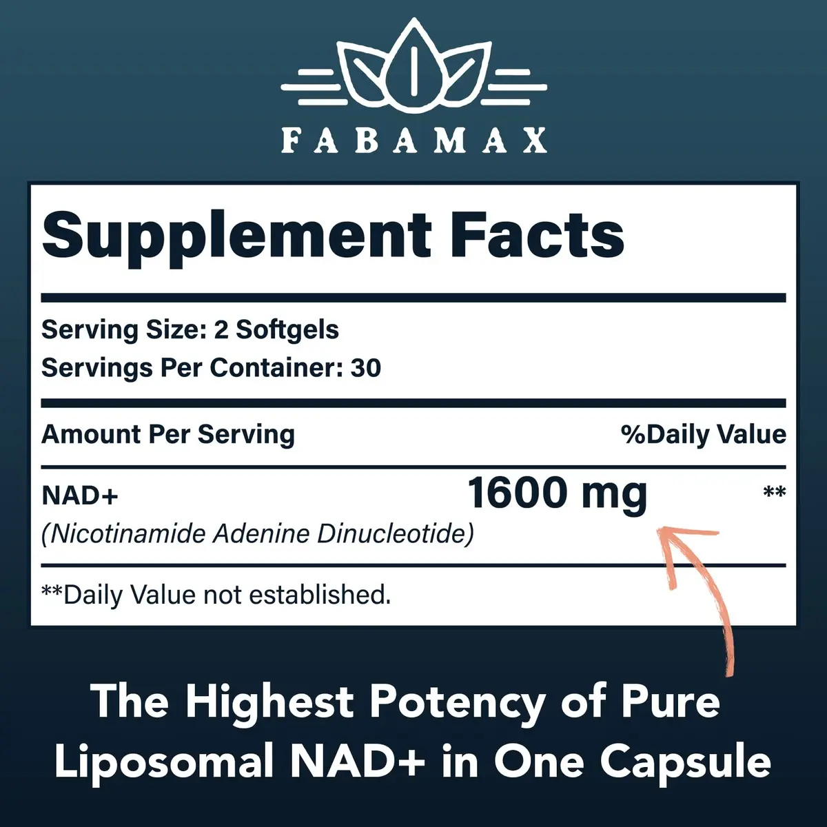 Fabemax 1600 mg Liposomal NAD Supplement | Superior Absorption for Aging & Energy - view 2