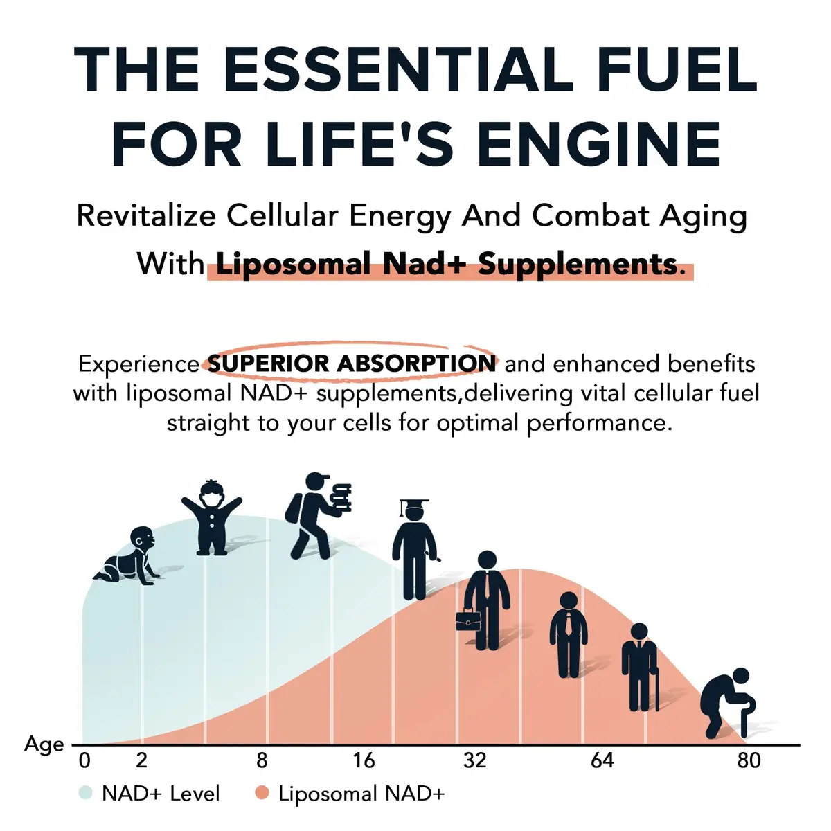 Fabemax 1600 mg Liposomal NAD Supplement | Superior Absorption for Aging & Energy - view 3