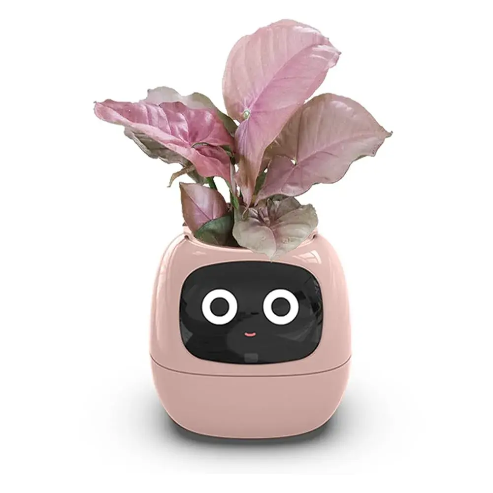 Itigoitie Smart Pet Planter Ivy with LCD Screen & Auto Watering 100ml (Pink) | Interactive AI Plant Care Companion - main product image