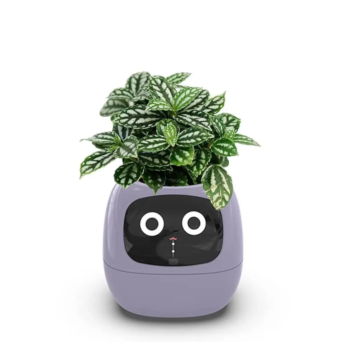 Itigoitie Smart Flowerpot 100ml (3.38 Fl Oz) | Interactive Plant Care with AI & Digital Display - main product image
