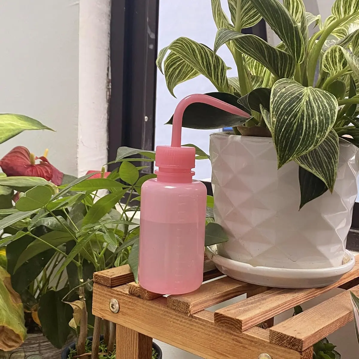 Valchoose Pink LDPE Squeeze Wash Bottle 150ml (5.1oz) | Bent Nozzle for Precision Watering & Lab Use - view 4
