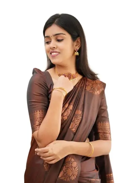 Yashika Banarasi Cotton Silk Jacquard Saree with Blouse, Brown, 5.5m (18 ft) Saree + 0.8m (2.6 ft) Blouse - view 3