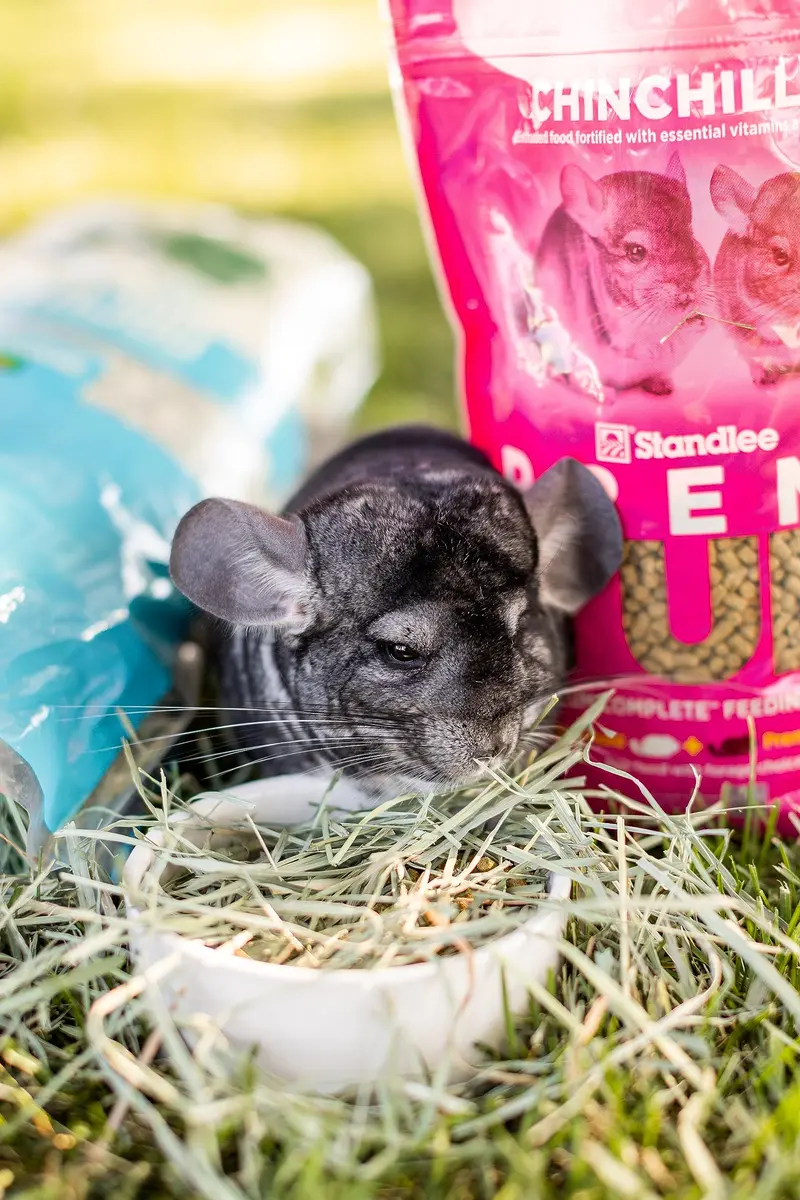 PremiYum Small Animal Alfalfa Hay 12 lb | Natural Fiber & Dental Support - view 7