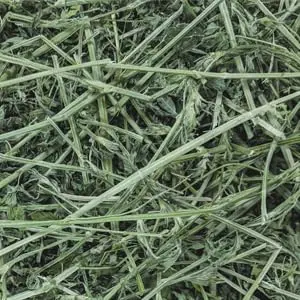PremiYum Small Animal Alfalfa Hay 12 lb | Natural Fiber & Dental Support - view 4
