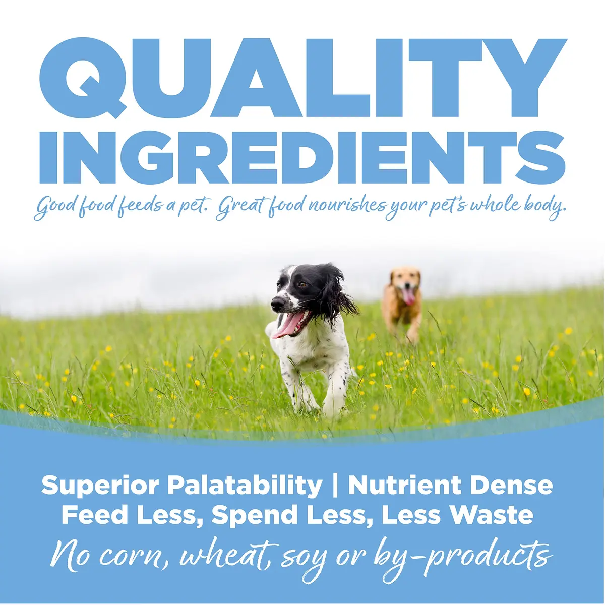 NutriSource Large Breed Trout & Rice Dog Food 11.8kg | Supports Digestion & Heart - view 3